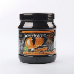 Headstart Focus Plus 500g Zitrone