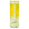 Head Team Tennisbälle 3er Dose